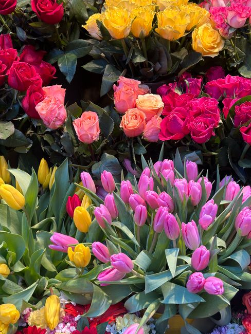 A vibrant floral display featuring a mix of pink, yellow, and red tulips with smooth, elongated petals and lush green leaves, arranged in a dense bouquet or floral arrangement. The tulips are set agai